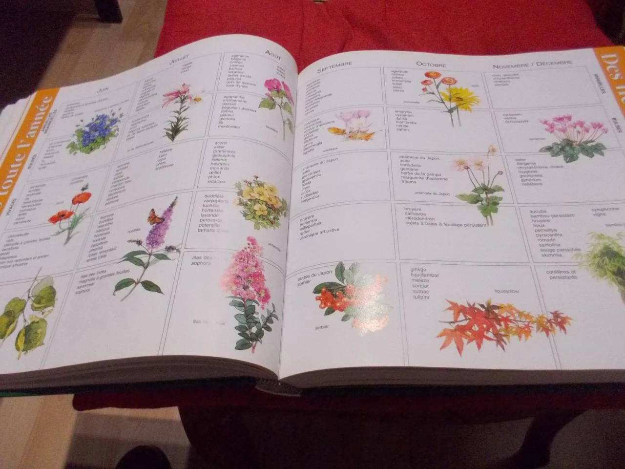 livro 100 dicas para o jardim – photo 2